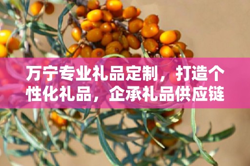 万宁专业礼品定制，打造个性化礼品，企承礼品供应链